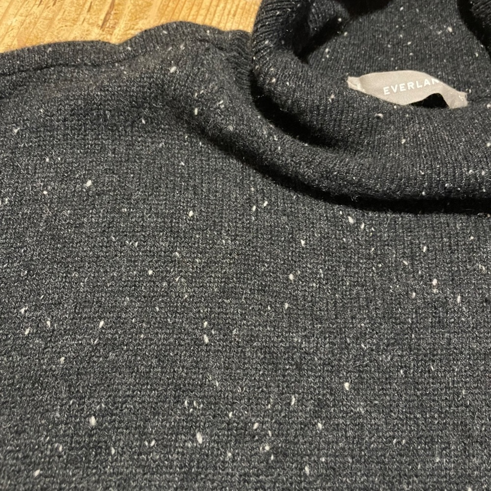 Everlane Charcoal Donegal Cashmere Square Turtleneck